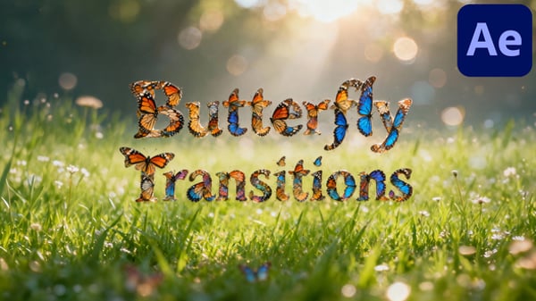 After Effects Butterfly Editable Video Templates Envato